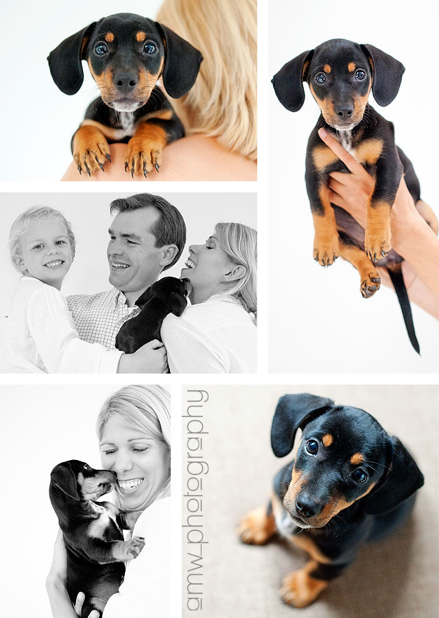Tierfotografie