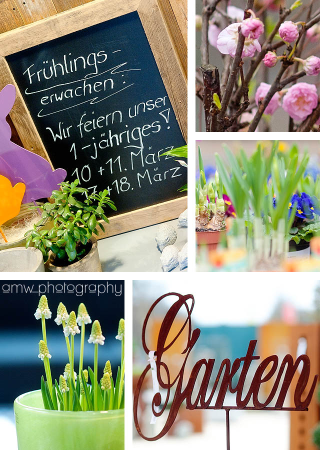 20120311_5_01 fotograf hanau fotografie