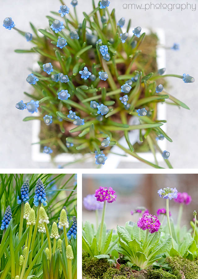 20120311_5_02 fotograf frankfurt fotografie